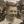 Cyril Catchpole