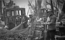 Crew of Steam Fishing Drifter LT500 'Golden Rule' at Lowestoft Harbour. Pre-WWI. Built in 1905.